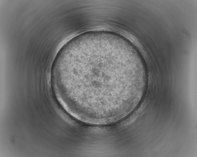 X0000112791234200910021052