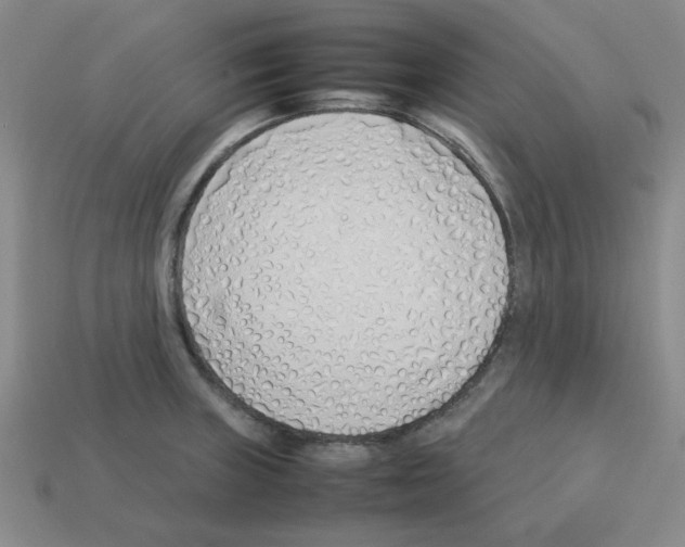 X0000112791235200910021052