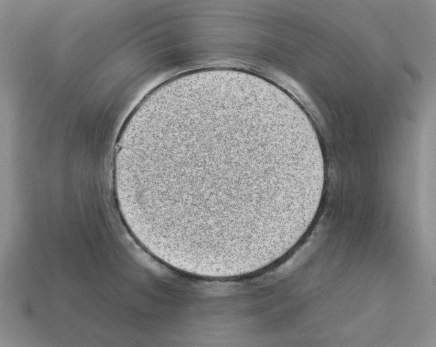 X0000112791236200910021052