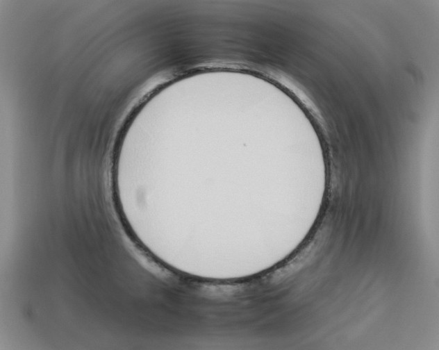 X0000112791237200910021052