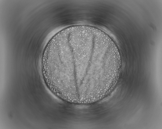 X0000112791239200910021052