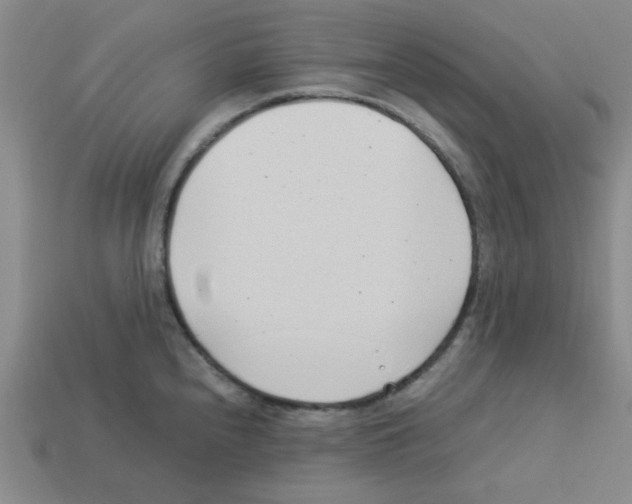 X0000112791240200910021052