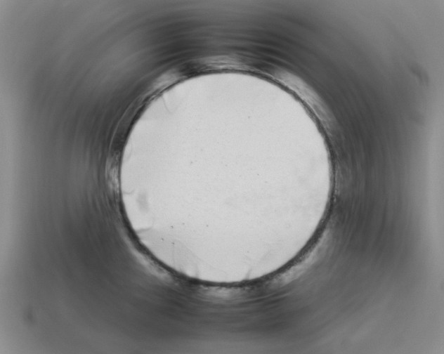 X0000112791241200910021052