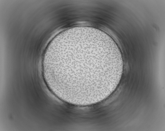 X0000112791243200910021052