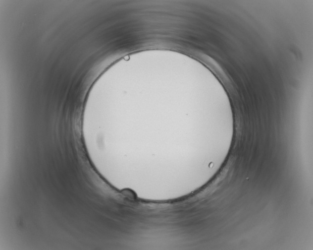 X0000112791244200910021052