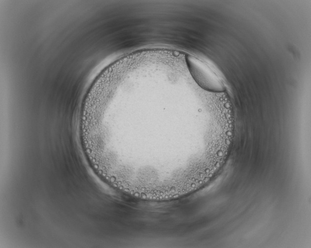 X0000112791245200910021052