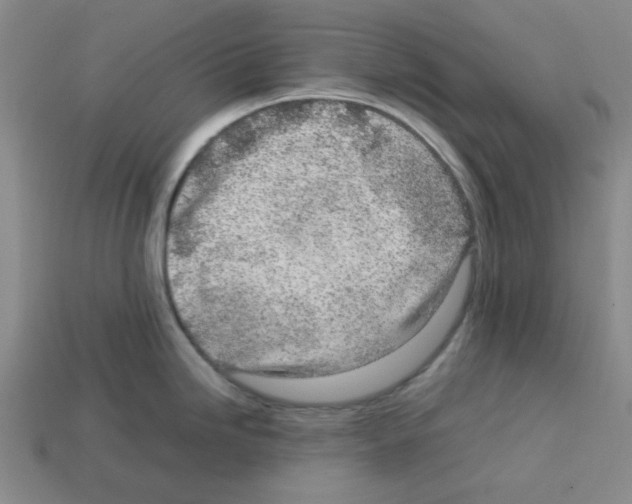 X0000112791246200910021052