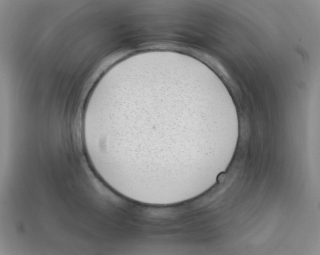 X0000112791247200910021053