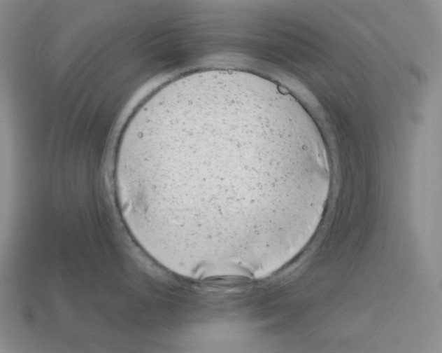 X0000112791248200910021053