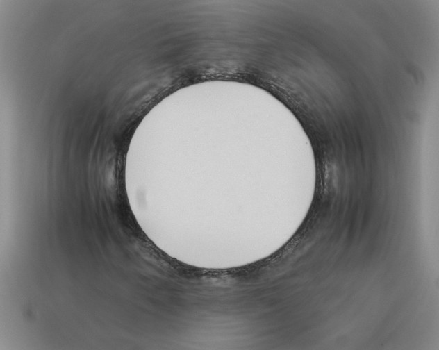 X0000112791250200910021052