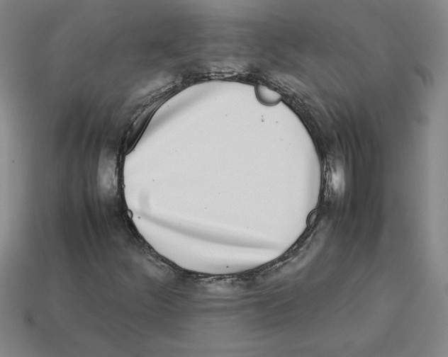 X0000112791252200910021052