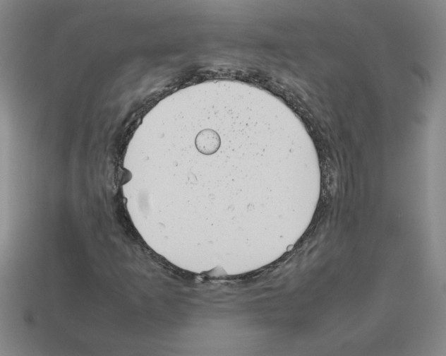 X0000112791253200910021052