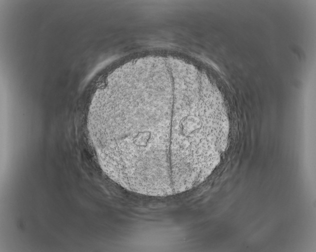 X0000112791255200910021052