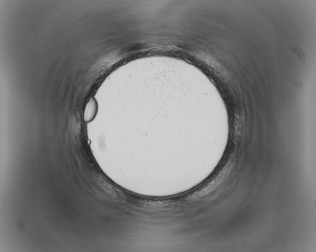 X0000112791257200910021052