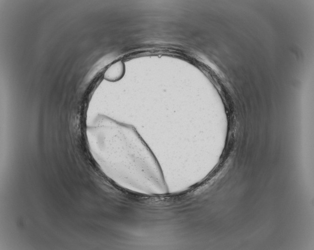 X0000112791259200910021052