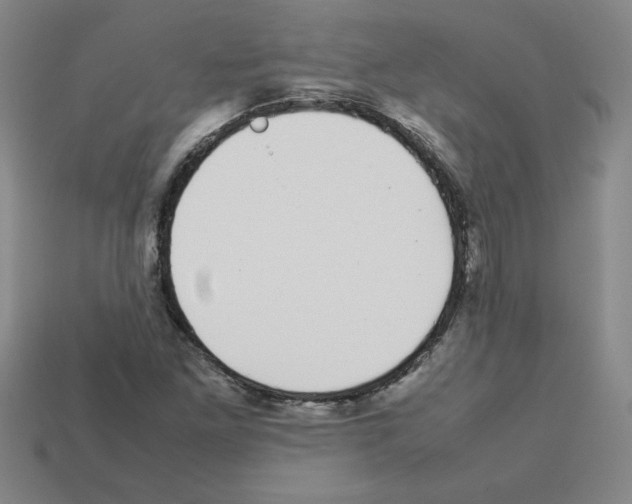 X0000112791261200910021052