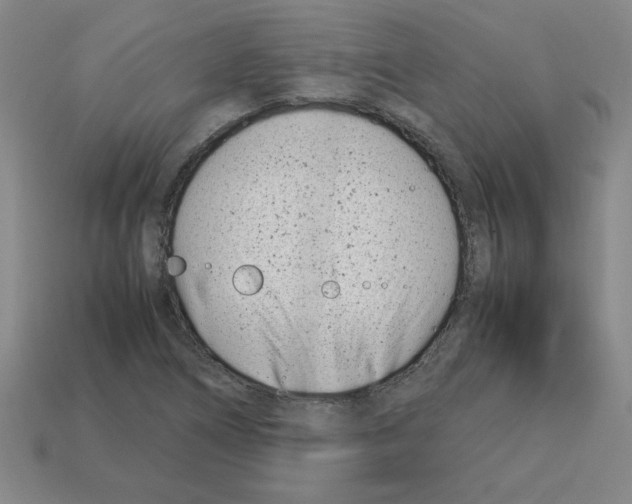 X0000112791266200910021052