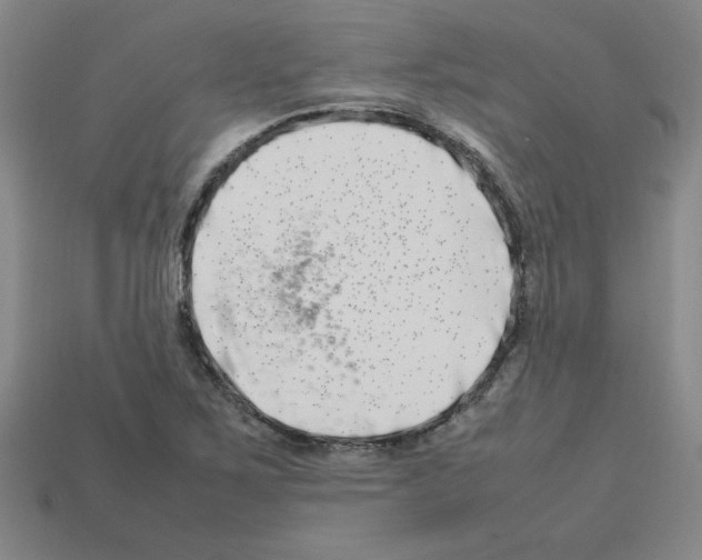 X0000112791267200910021052