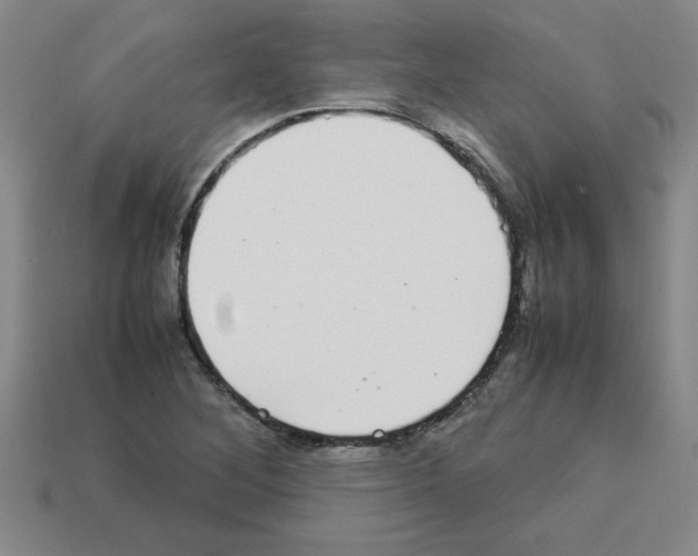 X0000112791268200910021052