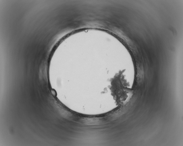 X0000112791272200910021052