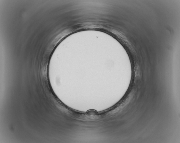 X0000112791273200910021052