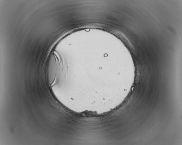 X0000112791276200910021052