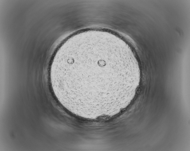 X0000112791279200910021052