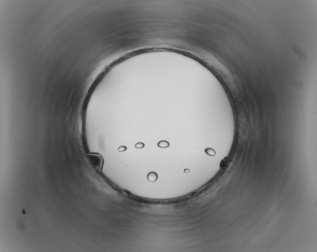 X0000112791280200910021052