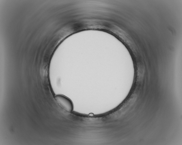 X0000112791281200910021051