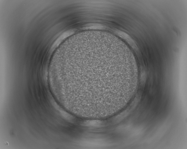 X0000112791282200910021051