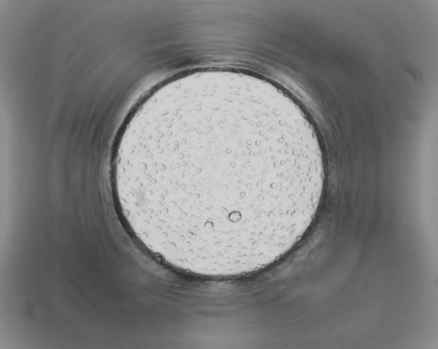 X0000112791283200910021051