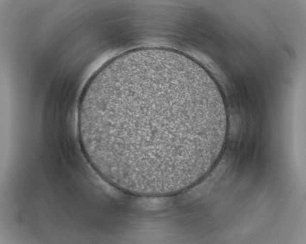 X0000112791286200910021051