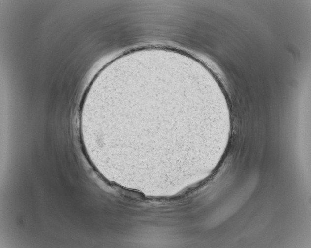 X0000112791287200910021051