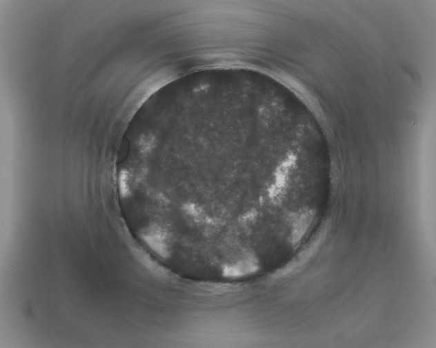 X0000112791289200910021051