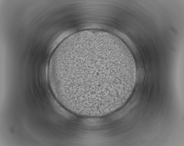 X0000112791290200910021051