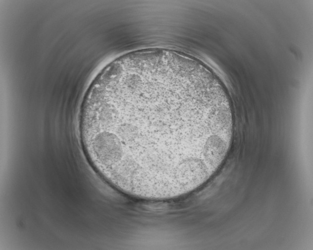 X0000112791291200910021051