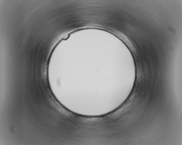 X0000112791292200910021051