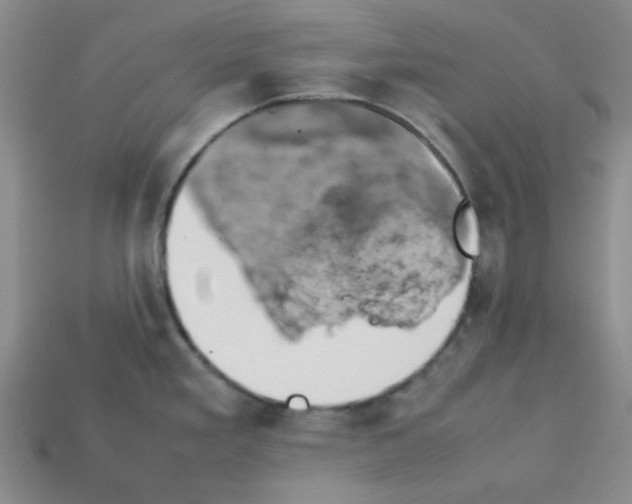 X0000112791293200910021051