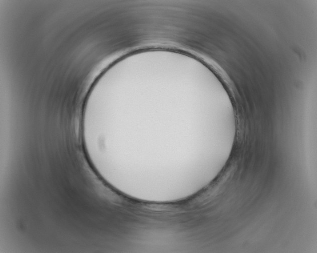 X0000112791295200910021051