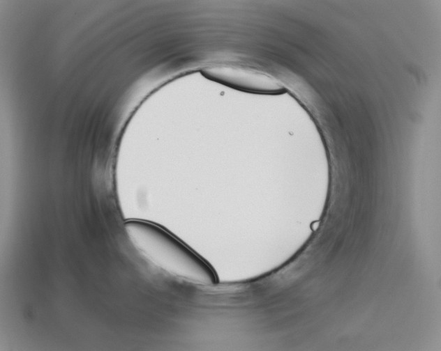 X0000112791296200910021051