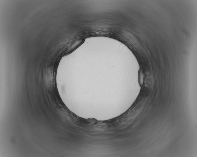 X0000112791298200910021050