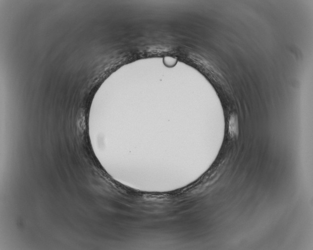 X0000112791299200910021050