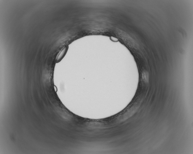 X0000112791300200910021050