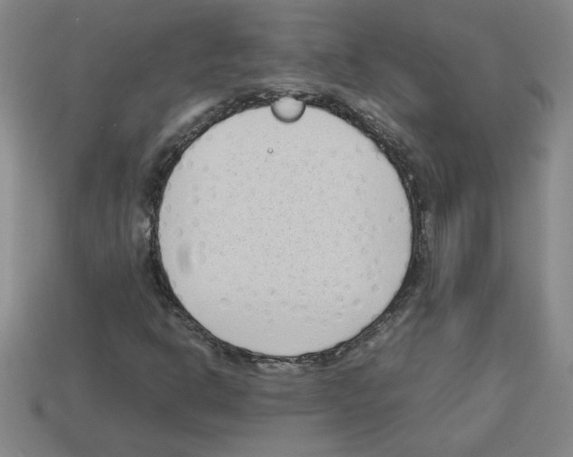 X0000112791302200910021050