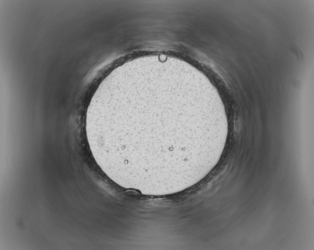 X0000112791304200910021050