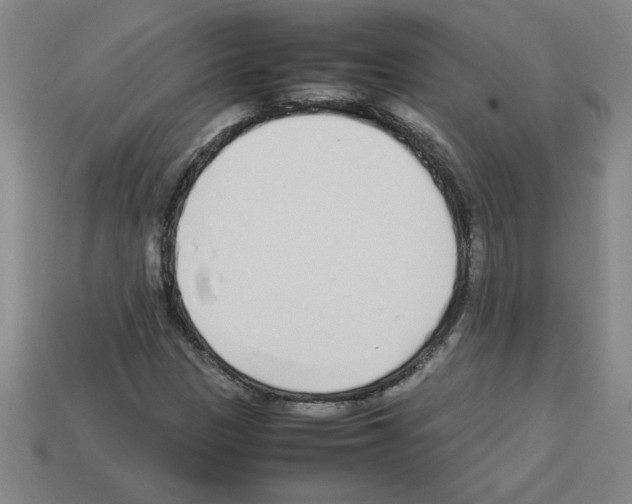 X0000112791305200910021050