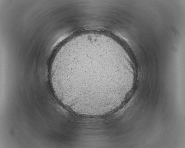 X0000112791306200910021050