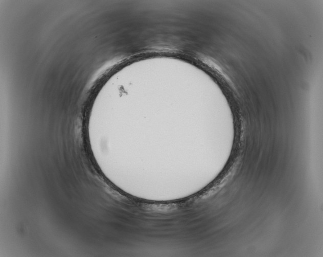 X0000112791307200910021050