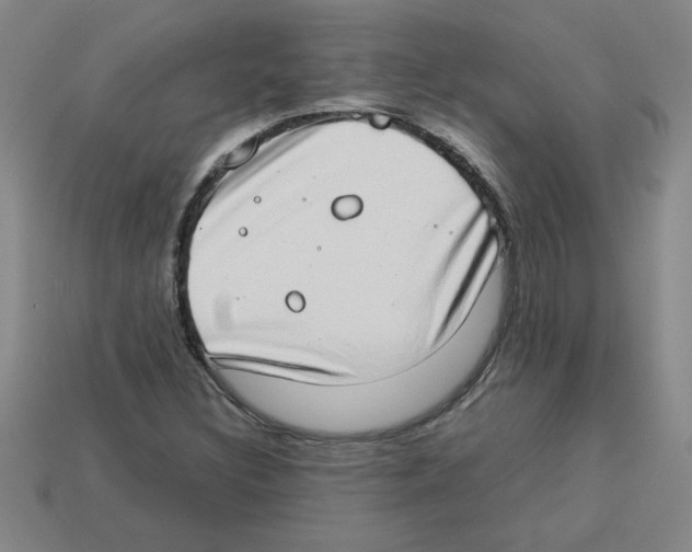 X0000112791308200910021050