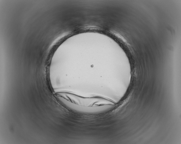 X0000112791309200910021050